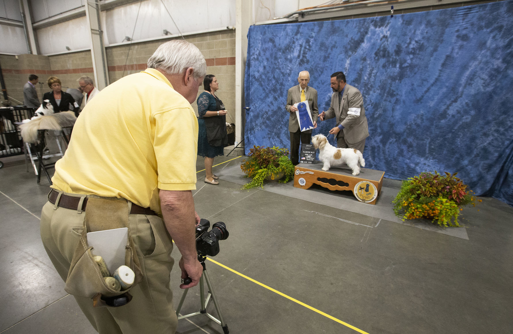 Yellowstone Valley Kennel Club All Breed Dog Show